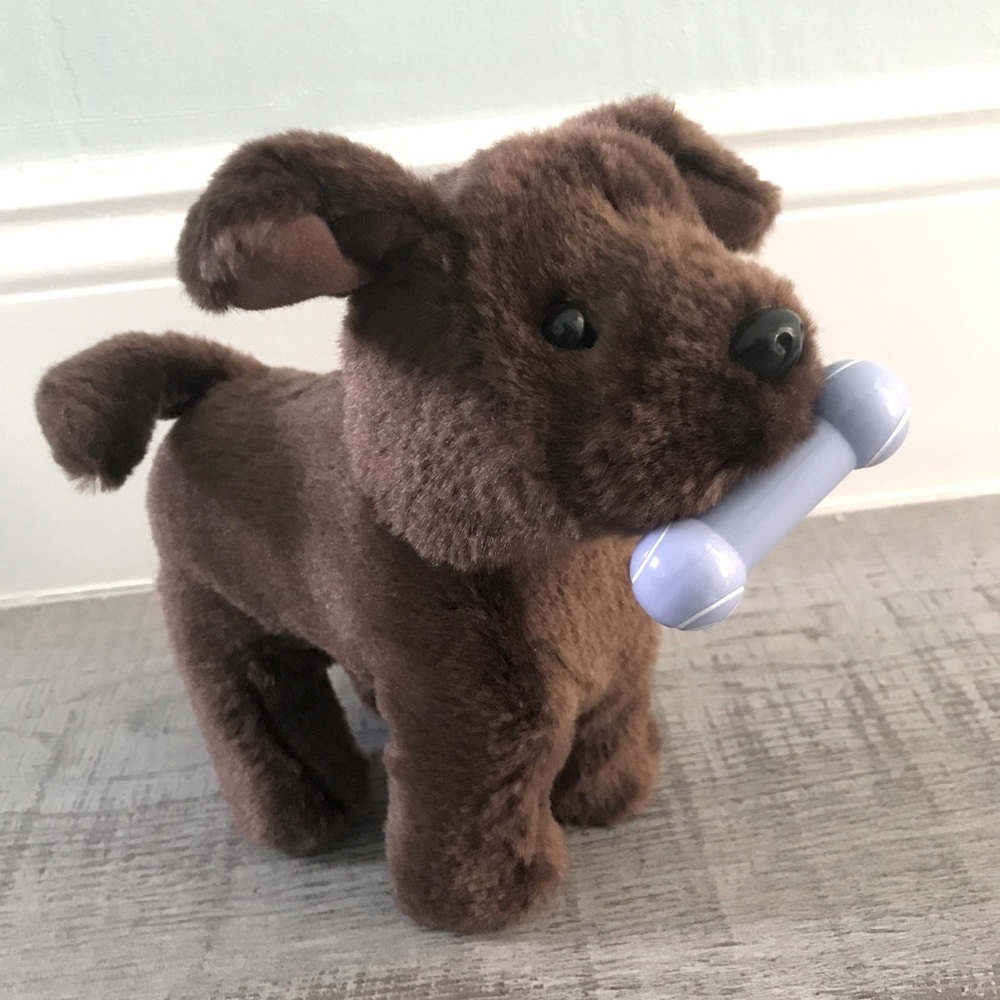 American Girl chocolate Lab puppy